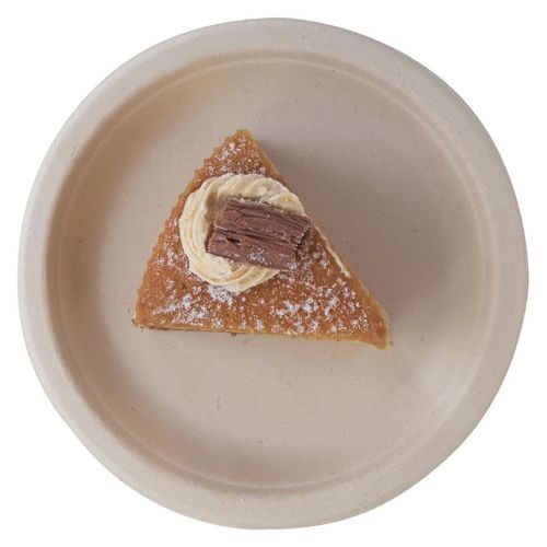 eGreen Eco-Fibre Compostable Wheat Round Plates 180mm (Pack of 1000) - FN201 - 2