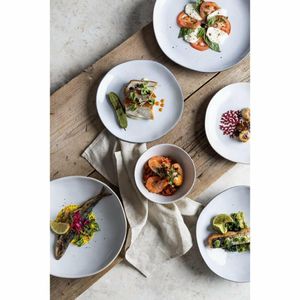 Olympia Raw Recycled Clay Charcoal Coupe Plates 220mm (6 Pack) - HS336 - 3