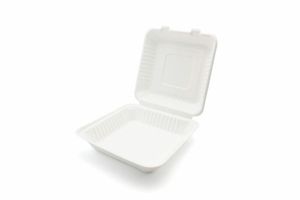 Bagasse Meal Box - 9 x 9" (Case of 200) - 3