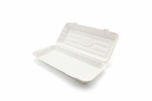 Large Bagasse Bio Box (Case of 250) - 3