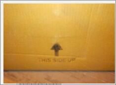 S/St. Wine Bucket Tulip Design -St/St Handles - T502 - 11