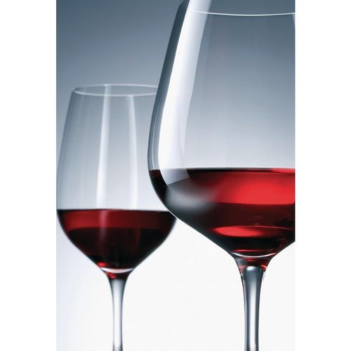 Schott Zwiesel Congresso Crystal Red Wine Glasses 355ml (Pack of 6) - CC675 - 2
