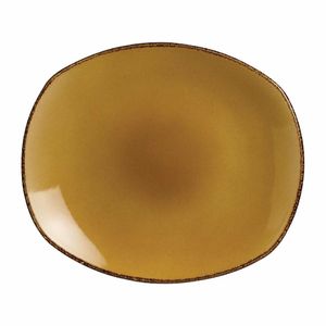 Steelite Terramesa Mustard Spice Plates 202mm (Pack of 24) - V7138 - 1