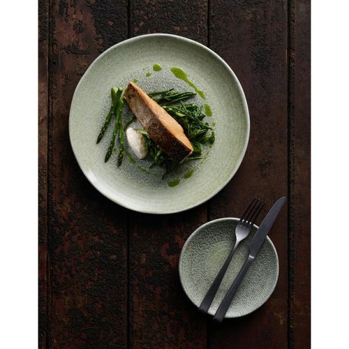 Dudson Harvest Grain Speckled Green Round Walled Plate 210mm(Pack of 6) - DX866 - 4