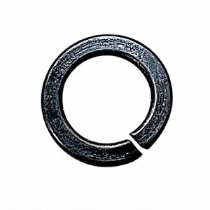 Buffalo Spring - AS102 - 1