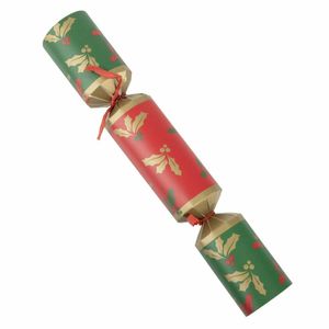 Fiesta Recyclable Plastic Free Christmas Crackers 12 (Pack of 25) - HW959 - 3