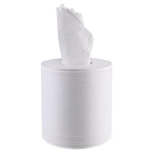 6-pack Of Centerfeed Wadding Rolls 450 Formats 19x24cm 108 M Ecolabel - 711400 - 1