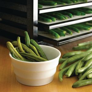 Excalibur 9 Tray Black Dehydrator with Timer 4926TB - GL373 - 3