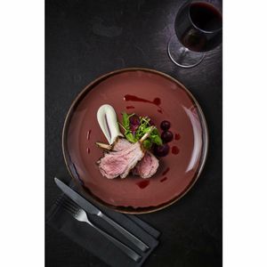 Dudson Harvest Plum Coupe Plate 10.25 inch Box 12 - CU031 - 3