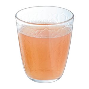 Luminarc Concepto Riad Tumblers 310ml (Pack of 24) - HZ405 - 3