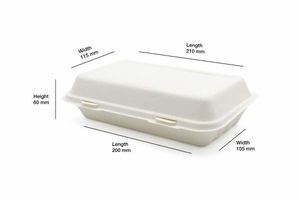 Medium Bagasse Bio Box (Case of 250) - 3