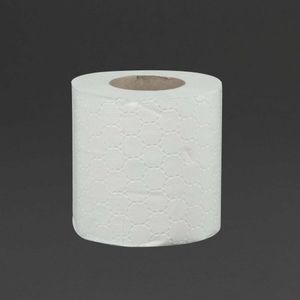 Jantex Standard Toilet Paper 2-Ply (Pack of 36) - GD751 - 3
