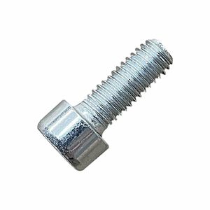 Buffalo Nut - AS099 - 1