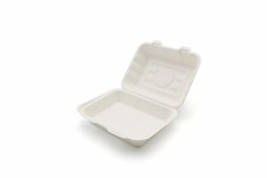 Small Bagasse Bio Box (Case of 250) - 3