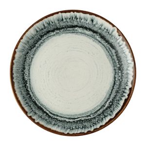 Dudson Harvest Flare Natural Evolve Coupe Plates 260mm (12 Pack) - JC625 - 1
