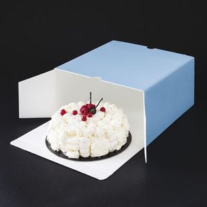Packet Of 25 Blue Pse Vacherin Insulating Boxes 260x260x130 Mm - 934094 - 1