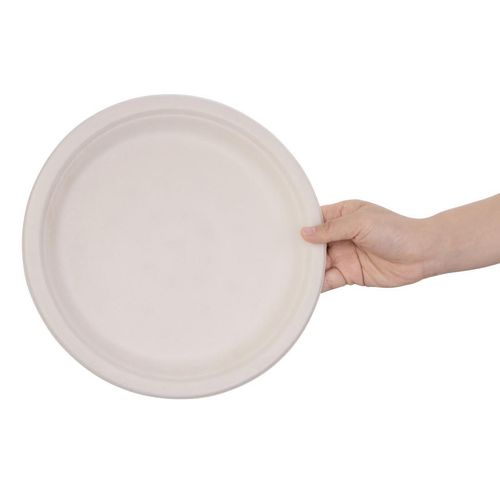 Fiesta Compostable Bagasse Round Plates Natural Colour 260mm (Pack of 50) - FC545 - 4
