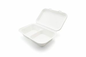 Bagasse Lunch Box 2 Compartment - 9 x 6" (Case of 200) - 3