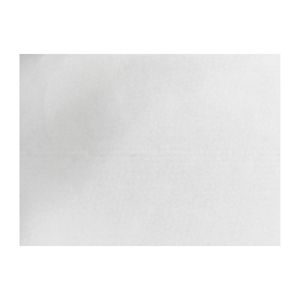 Fiesta Compostable Burger Wraps White 250x350mm (200 Pack) - HY790 - 1