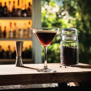 Fully Tempered Sardinia Martini Glass 27cl/ 9.5oz (Pack of 6) - SRD627TFKF - 3