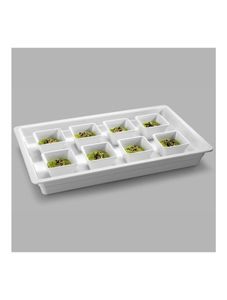 Pujadas 1/1 White Melamine Container 20mm *Clearance - 1
