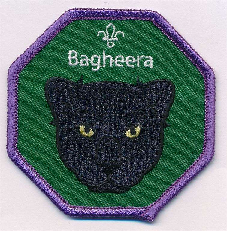 Bagheera Cub Scouts Fun Badge