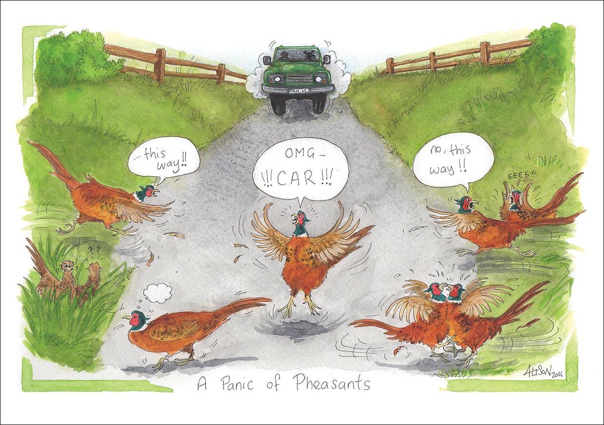 A Panic Of Pheasants Humorous Greeting Card