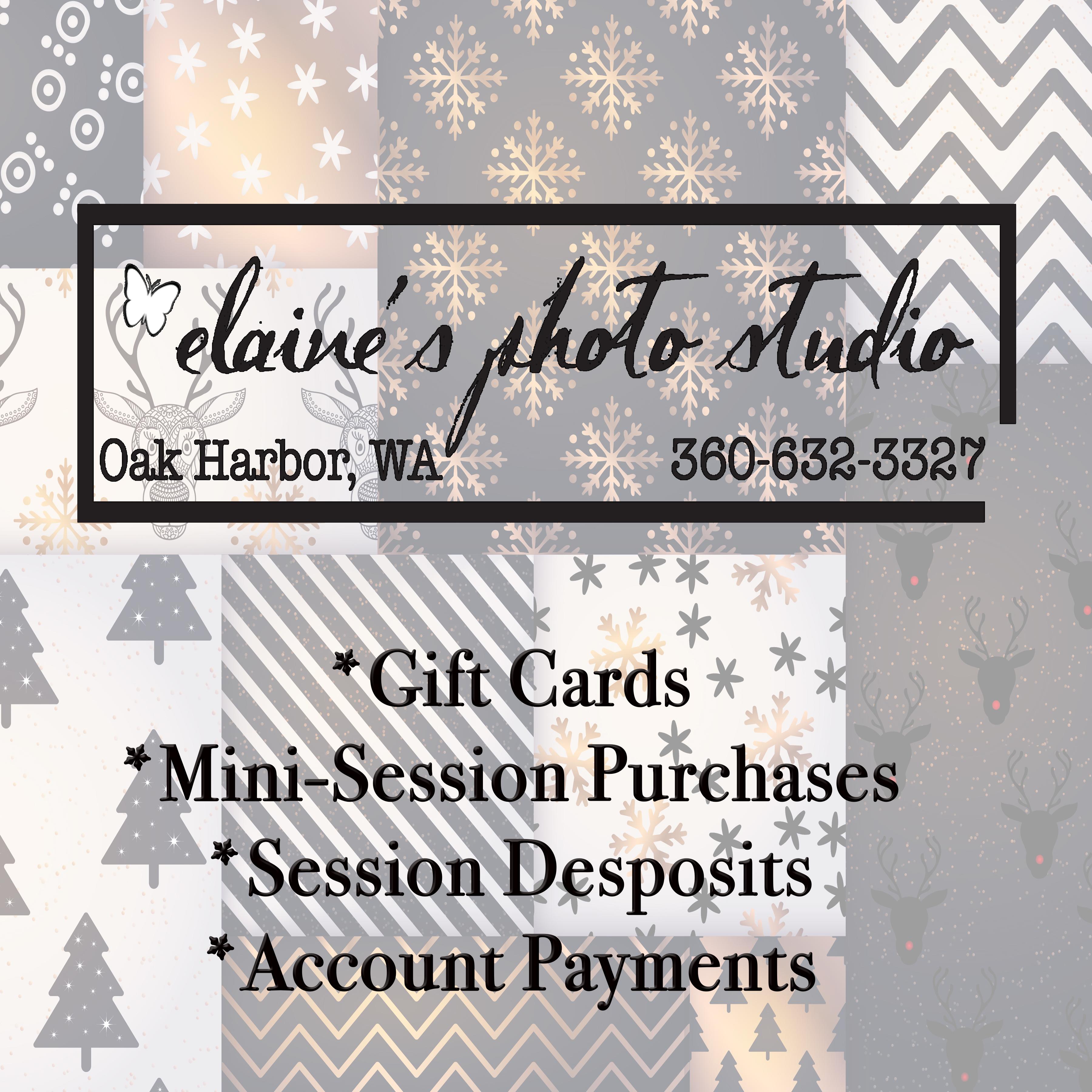 elainesphotostudio, oak harbor photographer, mini session, island county