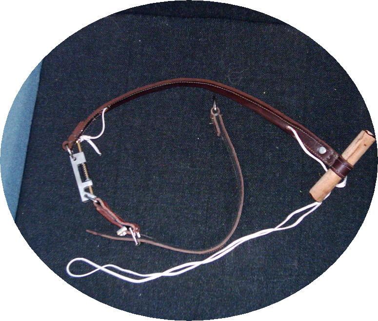 Best Leather Single Coursing Slip - Greyhound