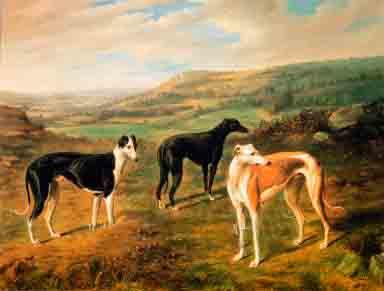 Greyhound Trio Print