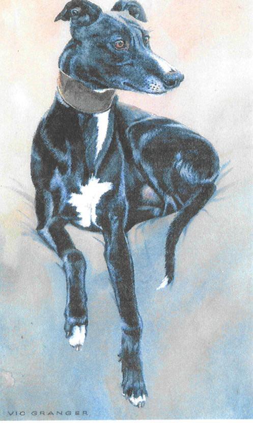 Sitting Pretty Limited Edition Print