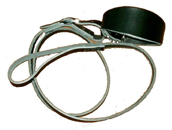 Greyhound collar and lead set