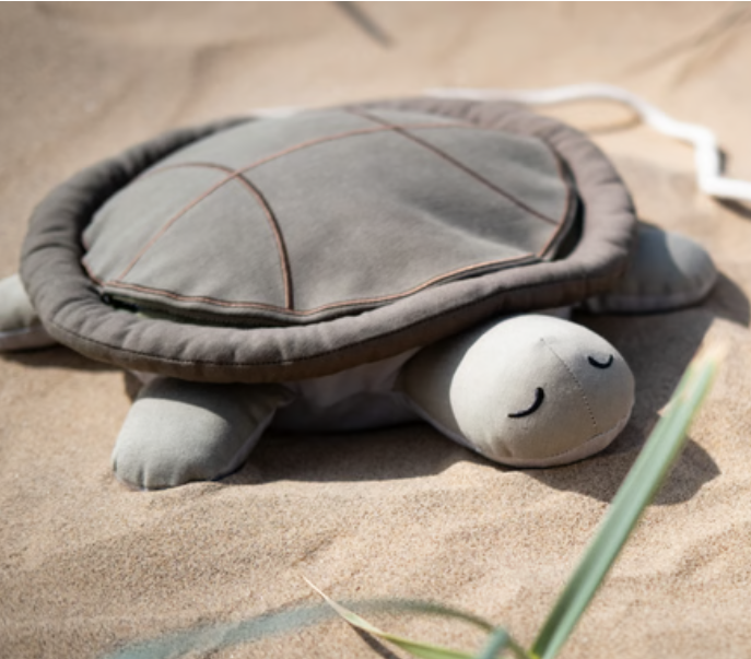 bass turtle