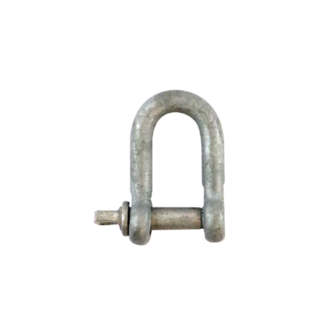Dee Shackle