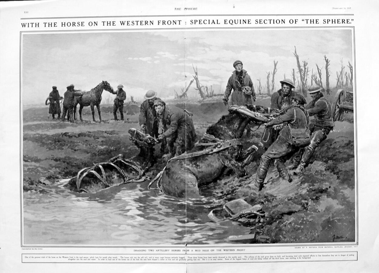 Artillery Horses (original page from The Sphere 1917) art by Fortunino Matania Artillery Horses (original page from The Sphere 1917) art by Fortunino Matania