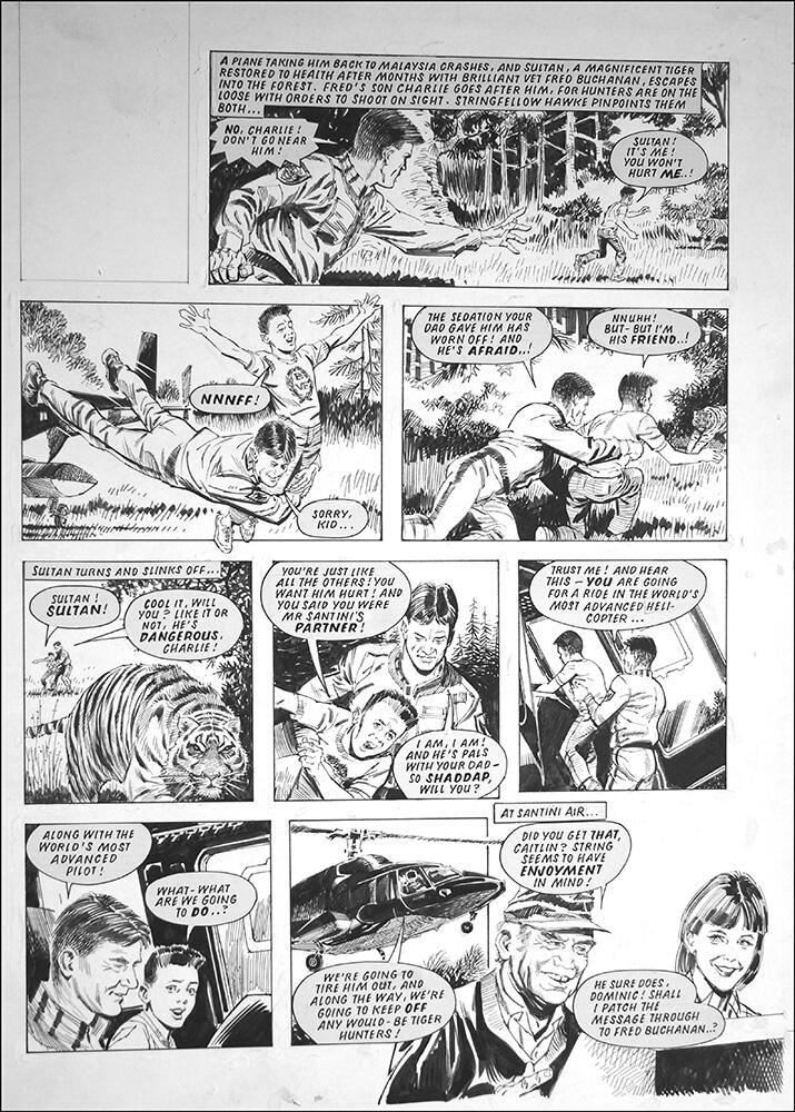 Airwolf - Tiger Hunters art by Barrie Mitchell Airwolf - Tiger Hunters art by Barrie Mitchell