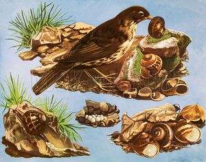 John Baker artist biography John Baker artist biography