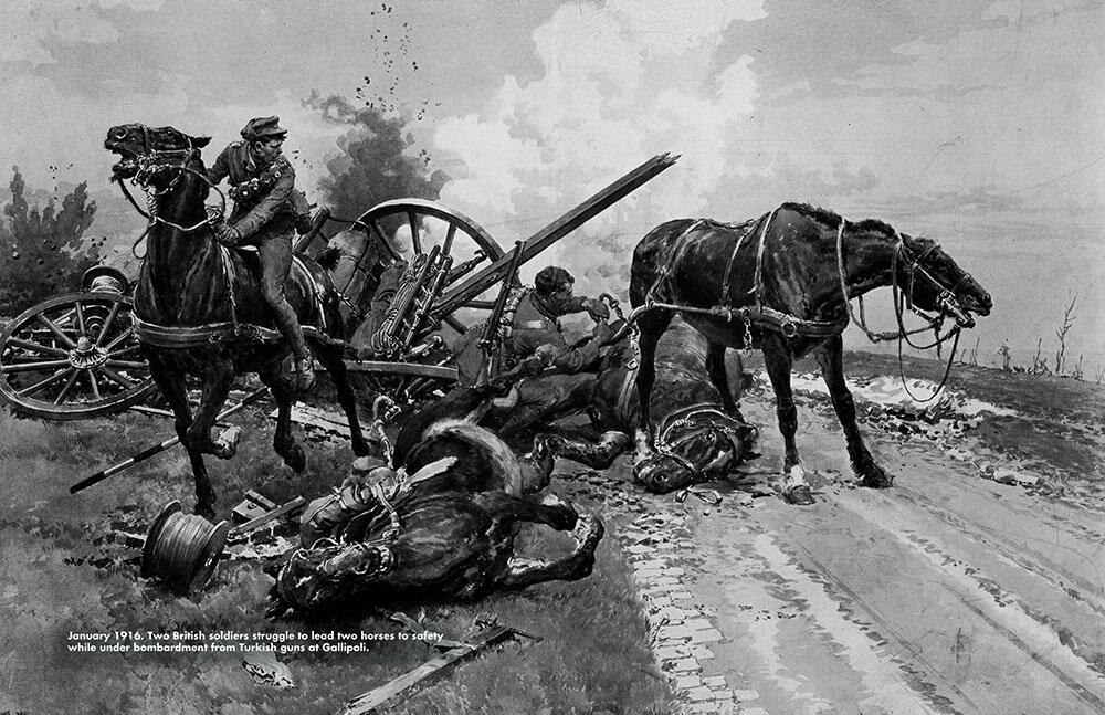 1914 - 1918 Through the eyes of Fortunino Matania by Peter Richardson (Editor) 1914 - 1918 Through the eyes of Fortunino Matania by Peter Richardson (Editor)
