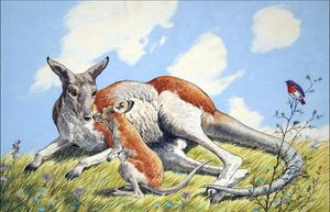Kangaroo and Baby art by 20th Century unidentified artist Kangaroo and Baby art by 20th Century unidentified artist