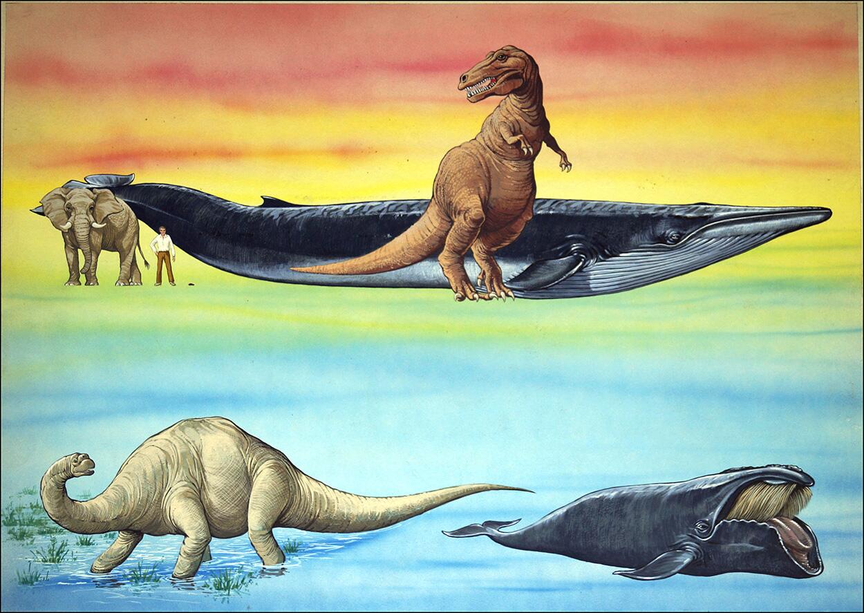 How Big Were the Dinosaurs art by 20th Century unidentified artist How Big Were the Dinosaurs art by 20th Century unidentified artist