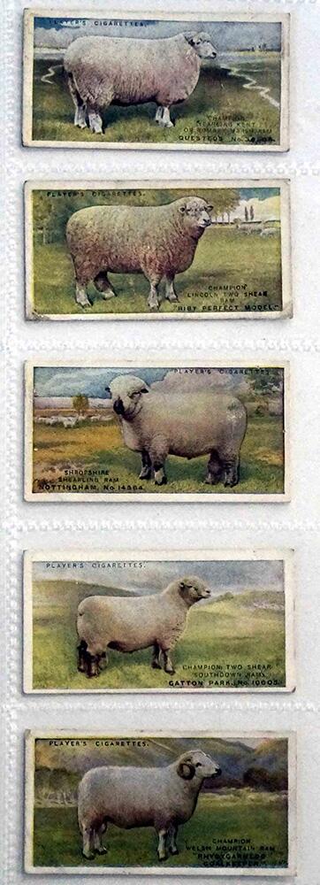 Full Set of 25 Cigarette Cards: British Livestock (1915) by Various Full Set of 25 Cigarette Cards: British Livestock (1915) by Various