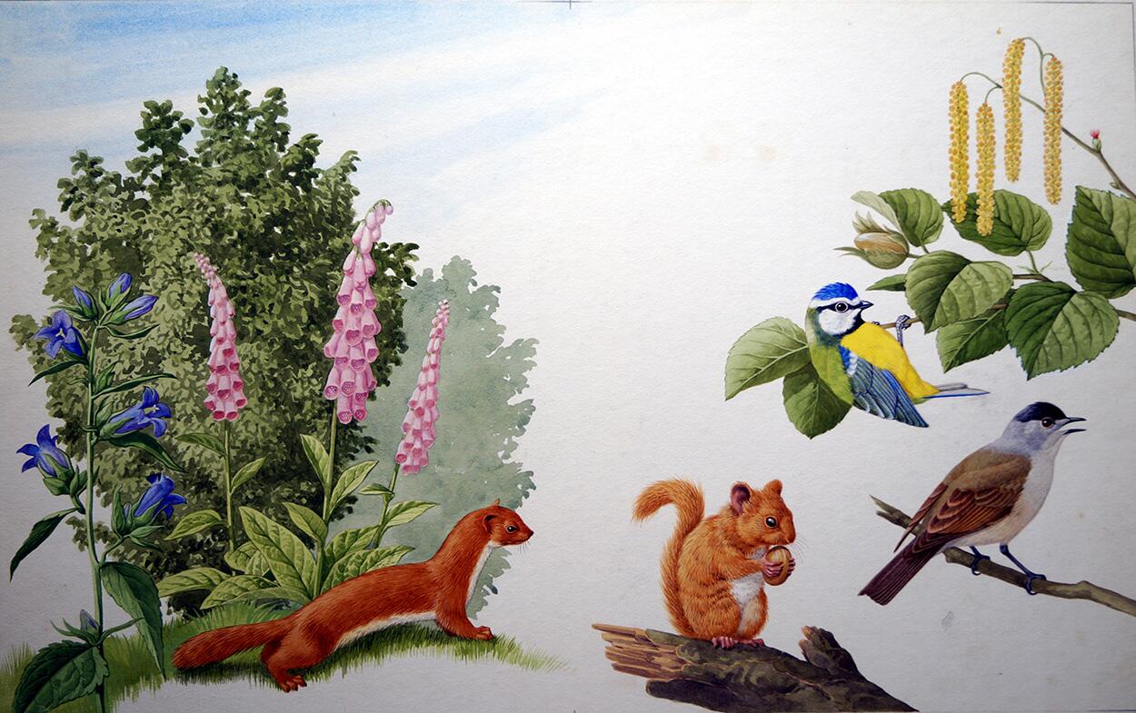 The Hazel Tree art by John Rignall The Hazel Tree art by John Rignall