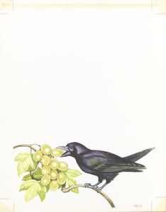 The Fox and the Grapes art by Ron Embleton The Fox and the Grapes art by Ron Embleton