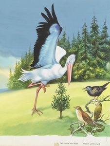 The Little Fir Tree: the Forest Birds art by Ron Embleton The Little Fir Tree: the Forest Birds art by Ron Embleton