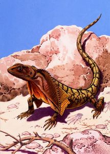 Frilled Lizard art by 20th Century unidentified artist Frilled Lizard art by 20th Century unidentified artist