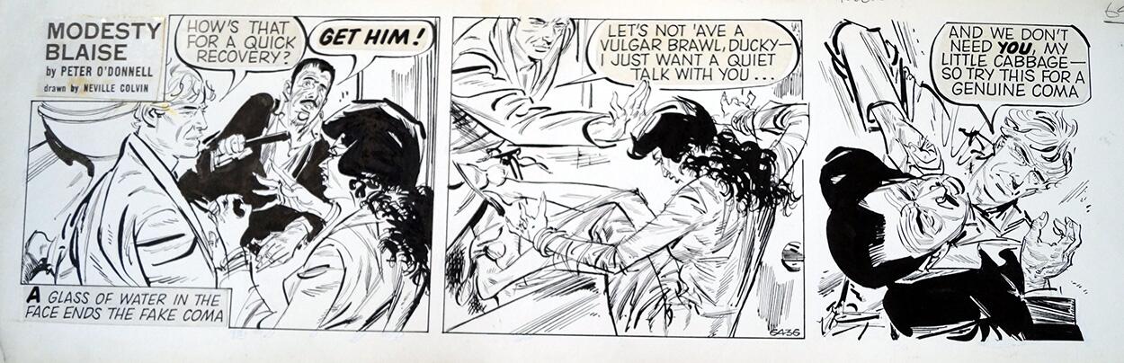 Modesty Blaise daily strip 6436 art by Neville Colvin Modesty Blaise daily strip 6436 art by Neville Colvin