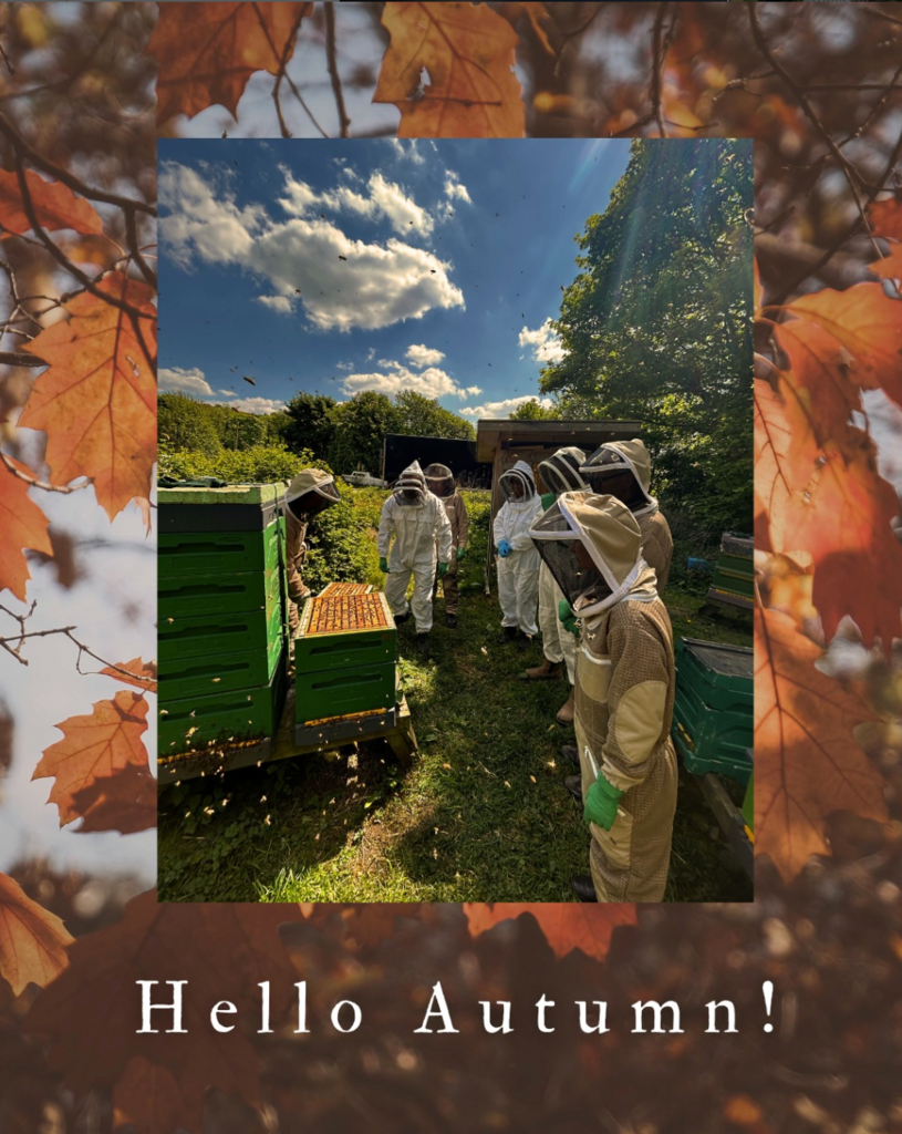 Hello Autumn!