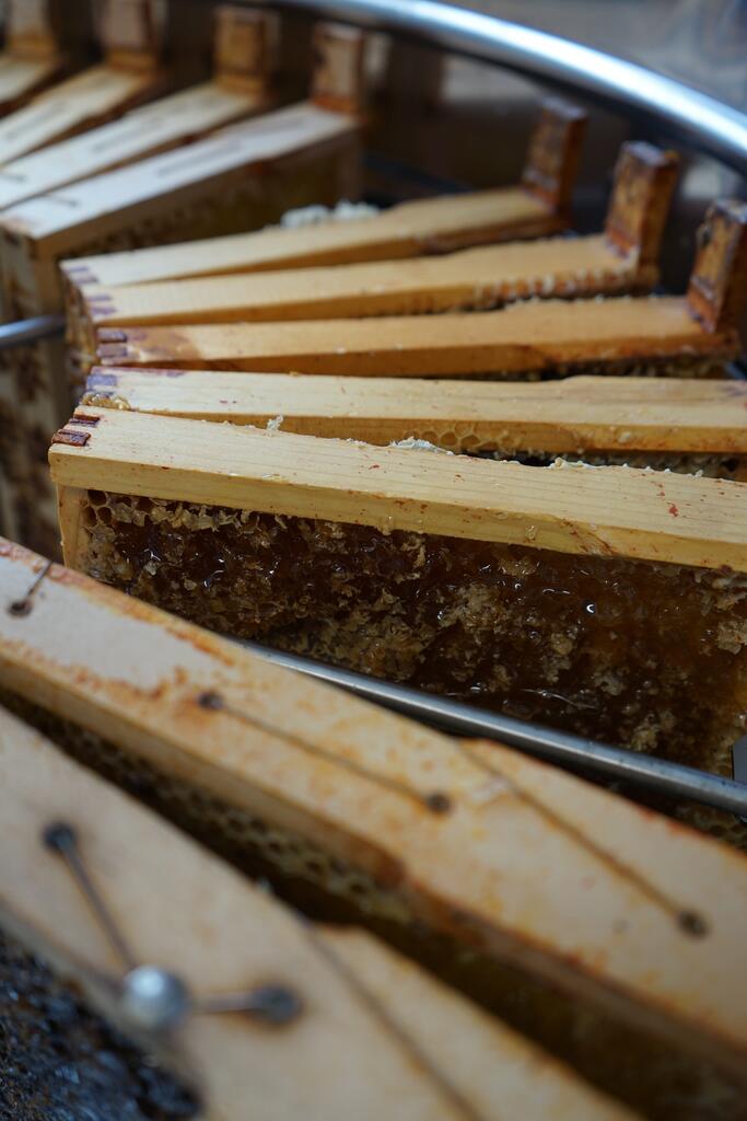 Raw Honey: What it is and What Makes it Different