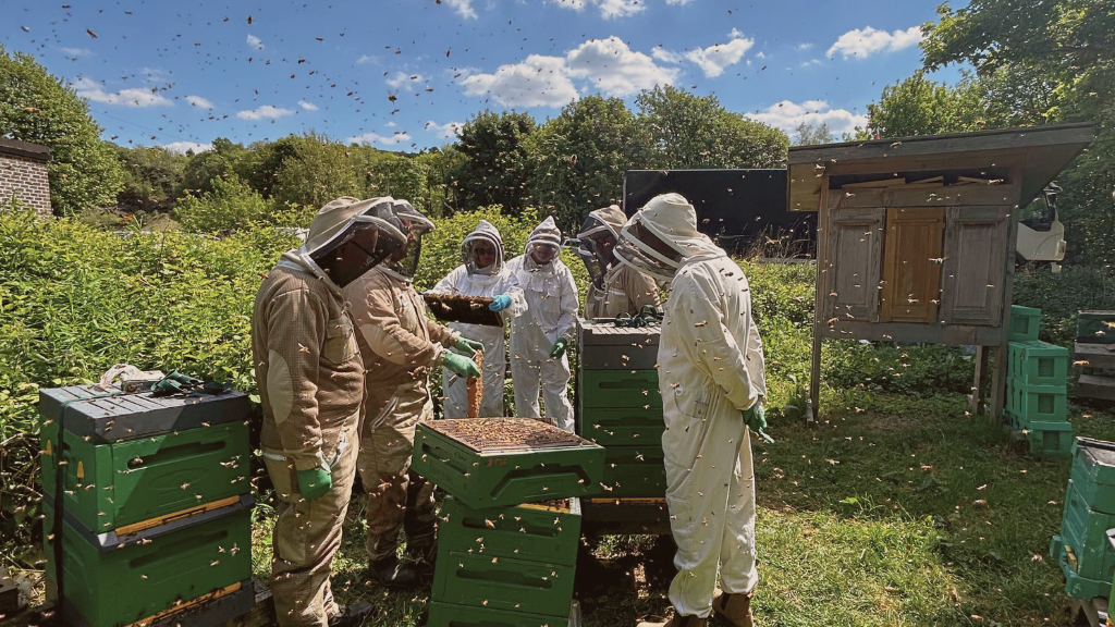 Thinking About Keeping Bees? Here's What You Need to Know