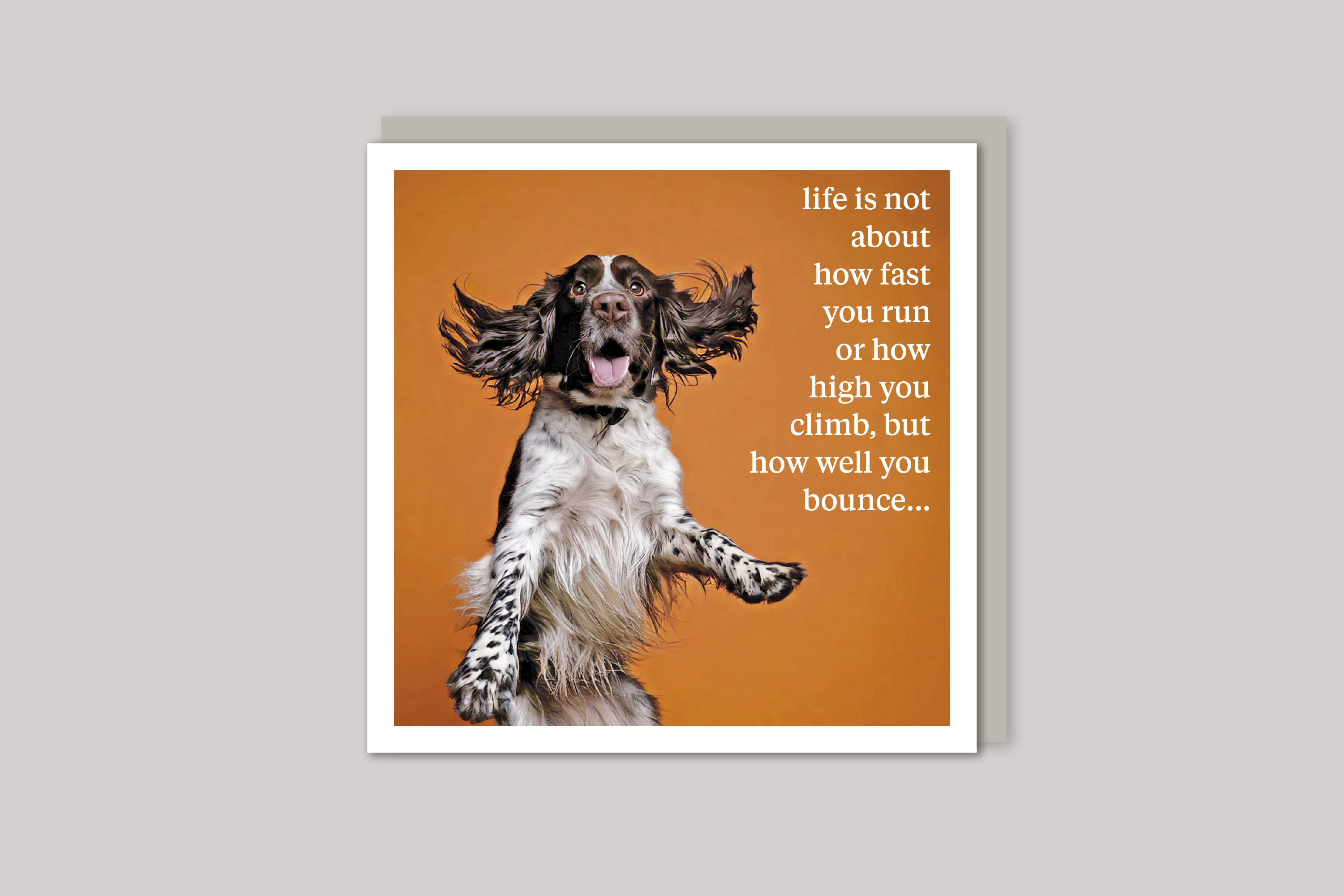 Life Lessons quirky animal portrait from Curious World range of greeting cards by Icon, with envelope.